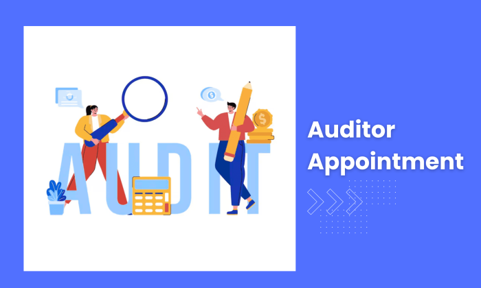 AUDITOR APPOINTMENT